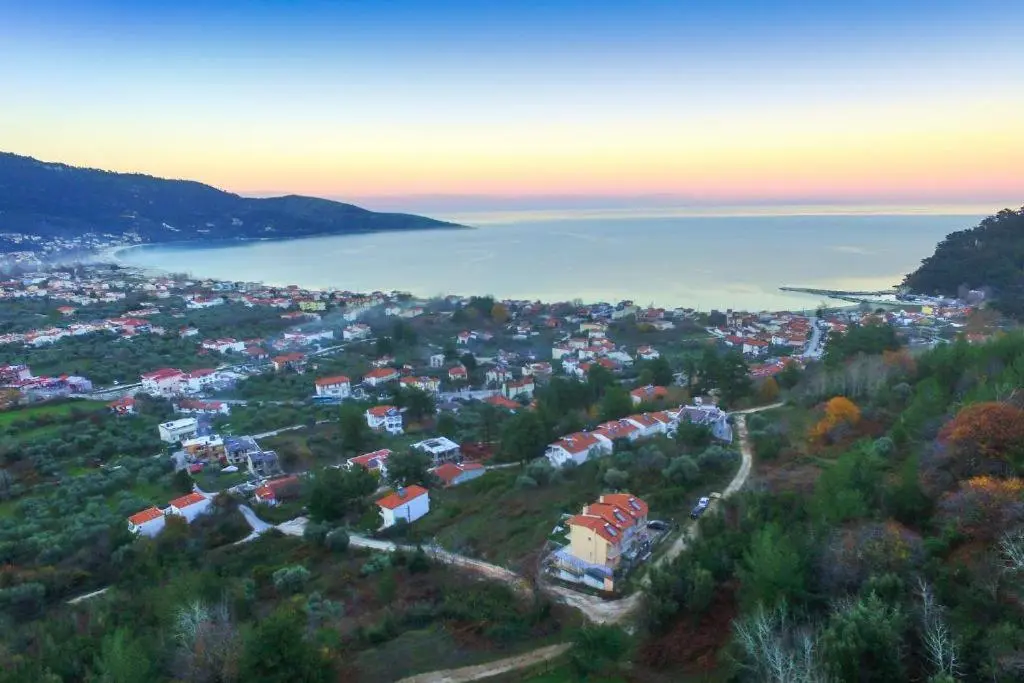 Aerial photo of the area