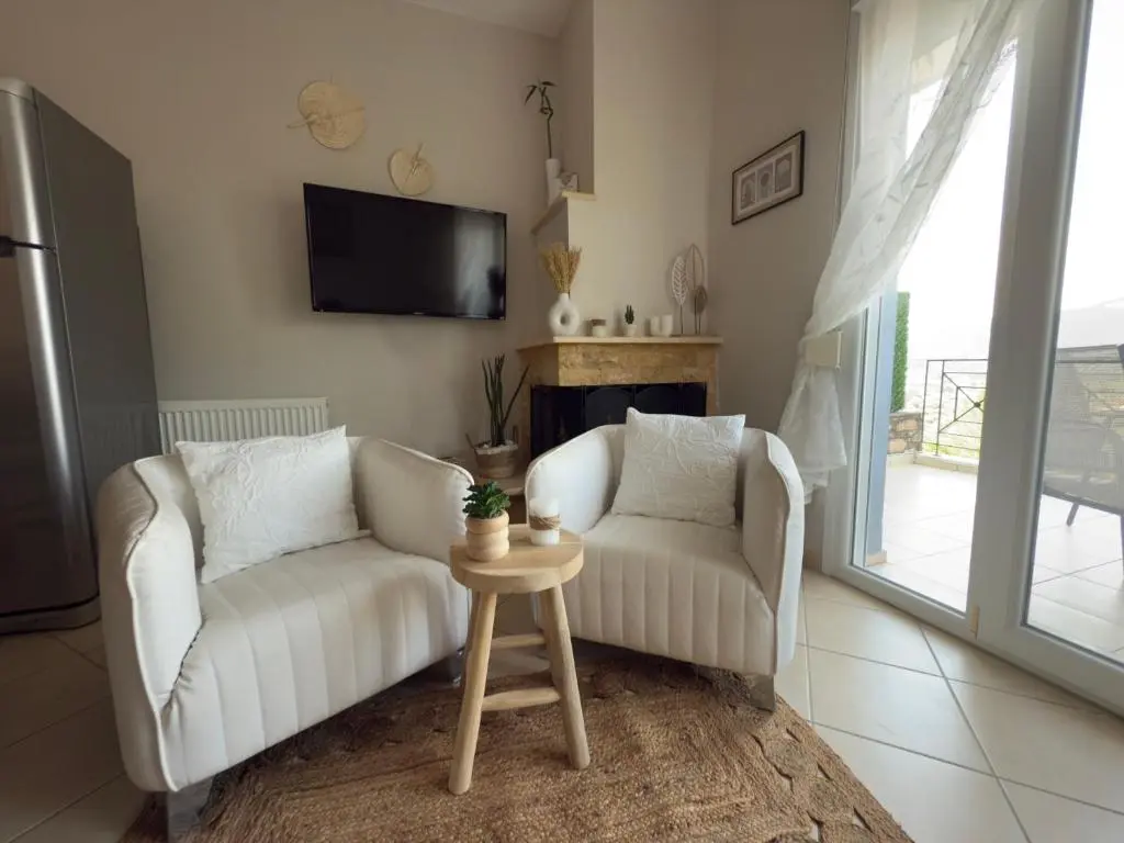 Aerial photo with olive groves