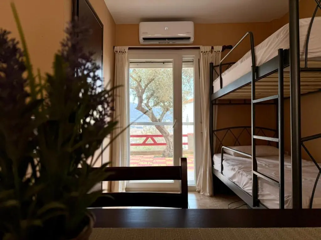 Garden view from dining area