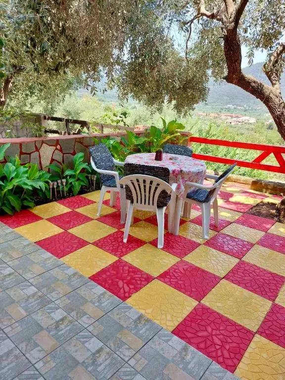 Yard with table under olive trees