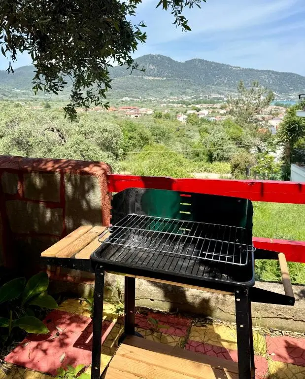 Outdoor BBQ with natural view